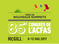 85_logo
