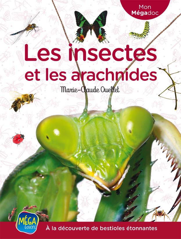 Couverture du livre Les insectes et les arachnides