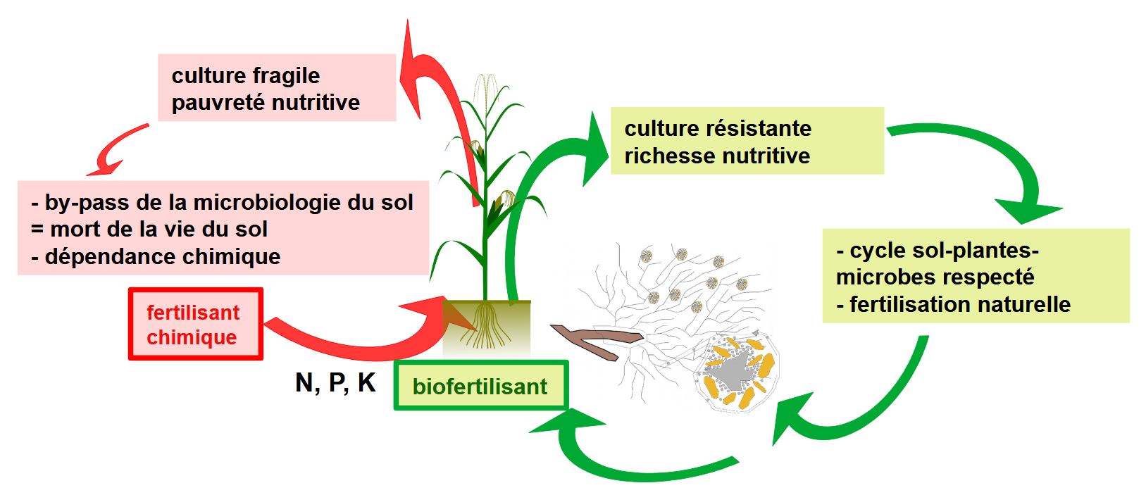 Cycle vertueux