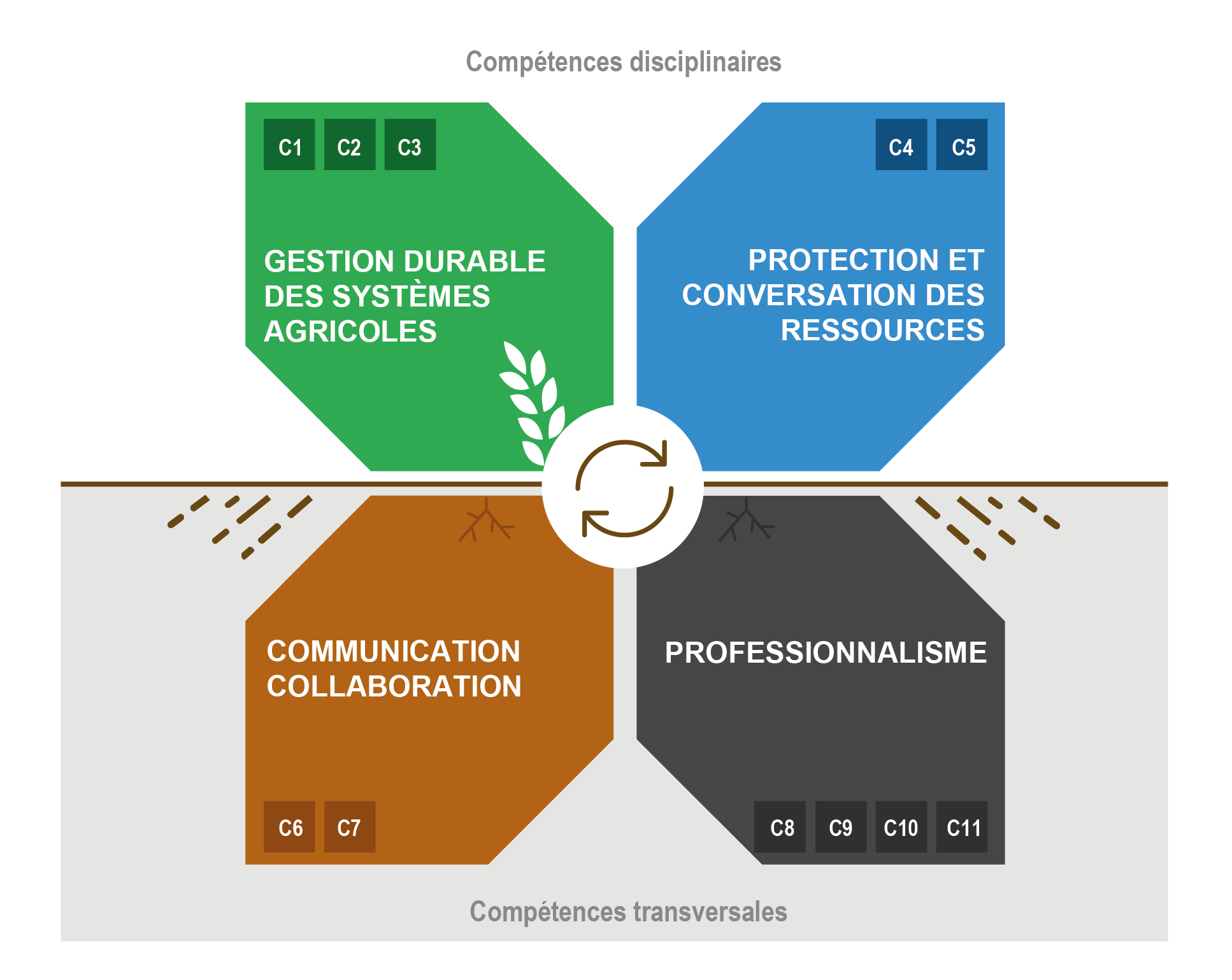 Compétences disciplinaires
