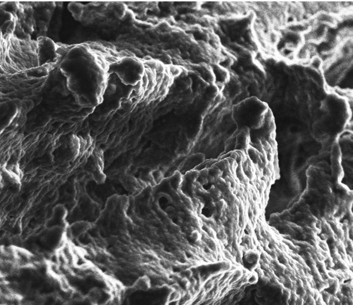 #MagAcfas - DÃ©couvrir : Fromage frais au microscope, Hassan Chadja, Centre national en Ã©lectrochimie et en technologies environnementales