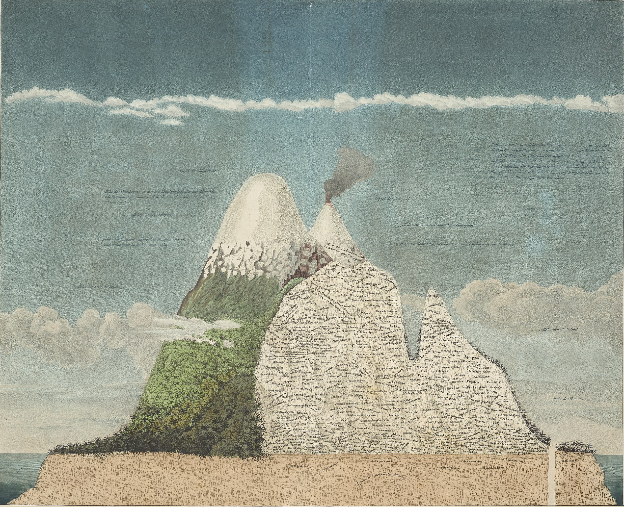Geographie der Pflanzen in den Tropen-LÃ¤ndern, de Alexander von Humboldt