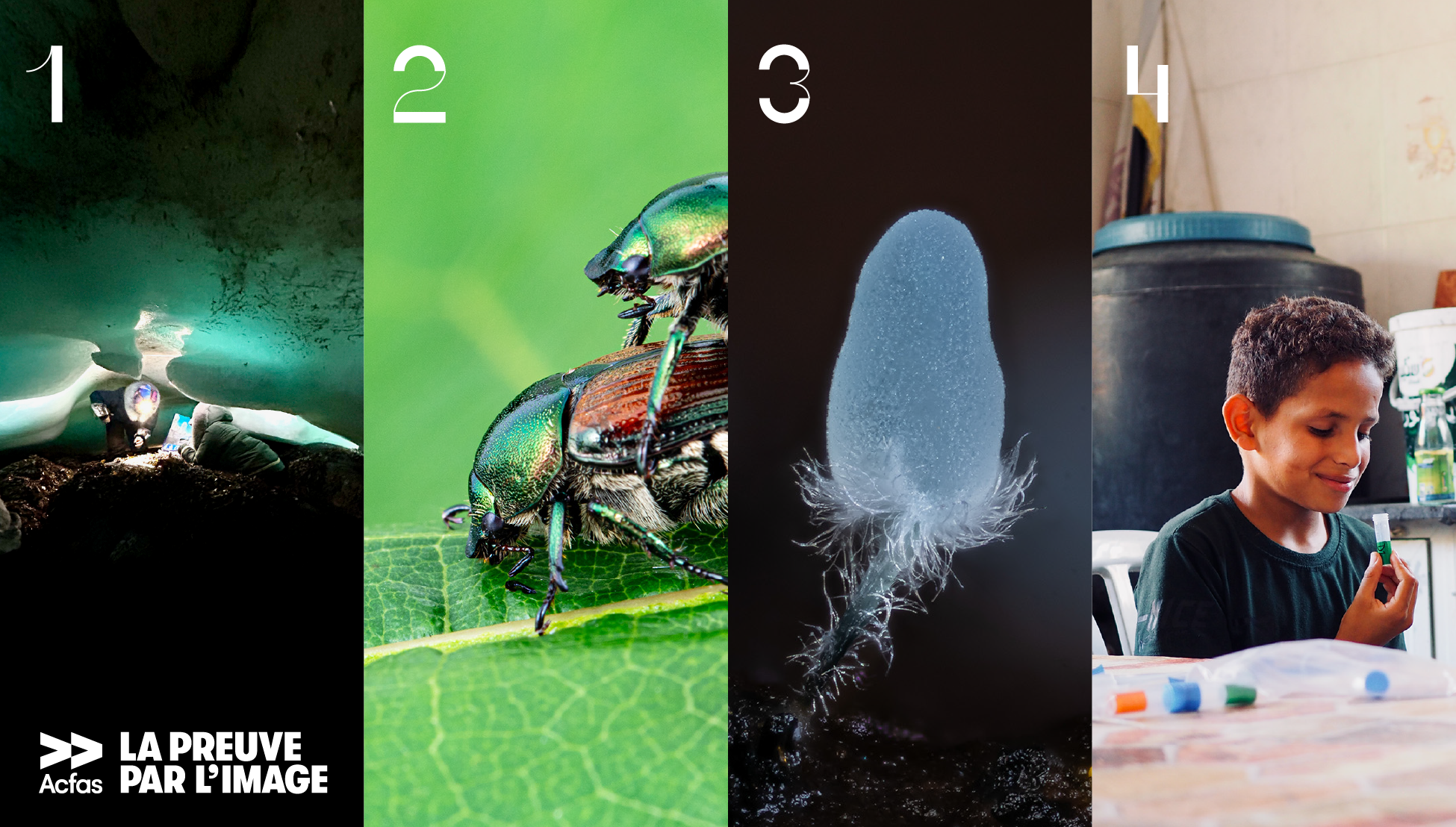 Lauréats La preuve par l'image