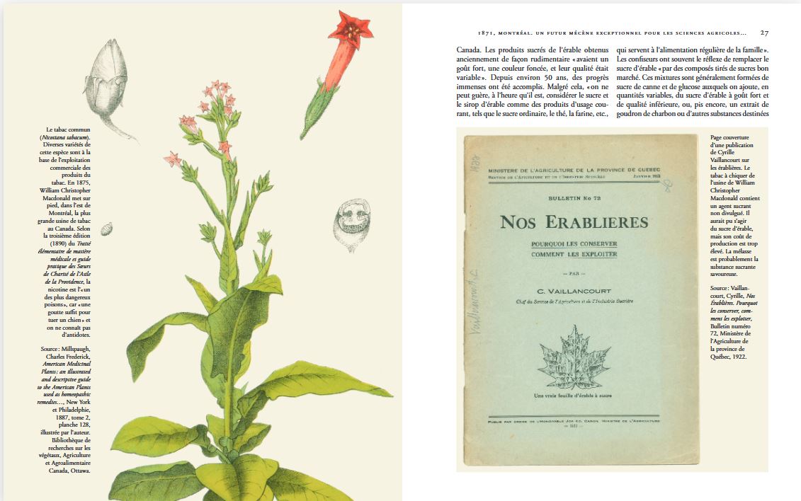 Curieuses histoires de plantes, extrait