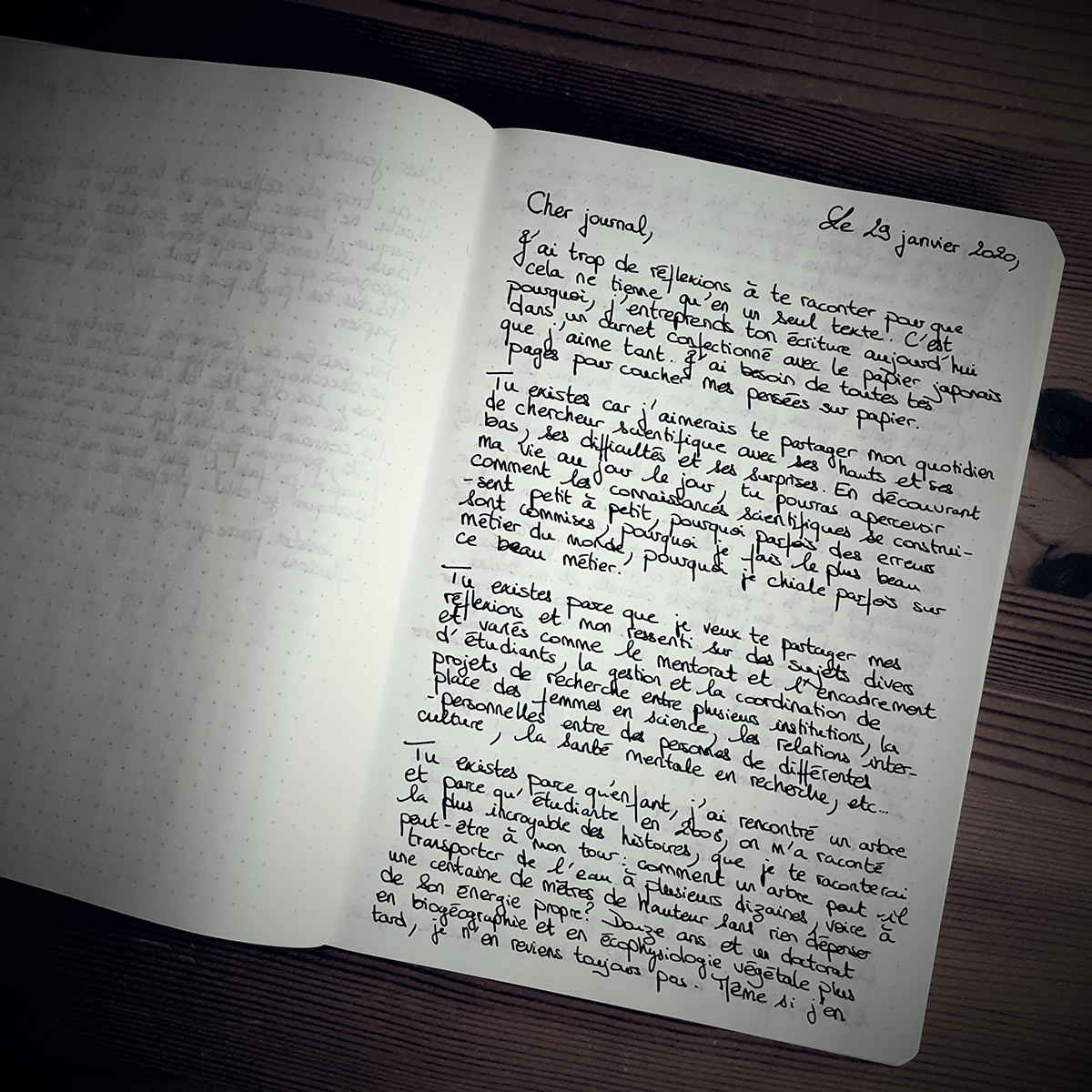 journal