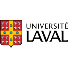 Chaire de leadership en pédagogie de l’enseignement supérieur (CLE-PES)