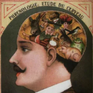 Image de profil de Alexandre Klein