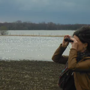 Image de profil de Ann Lévesque