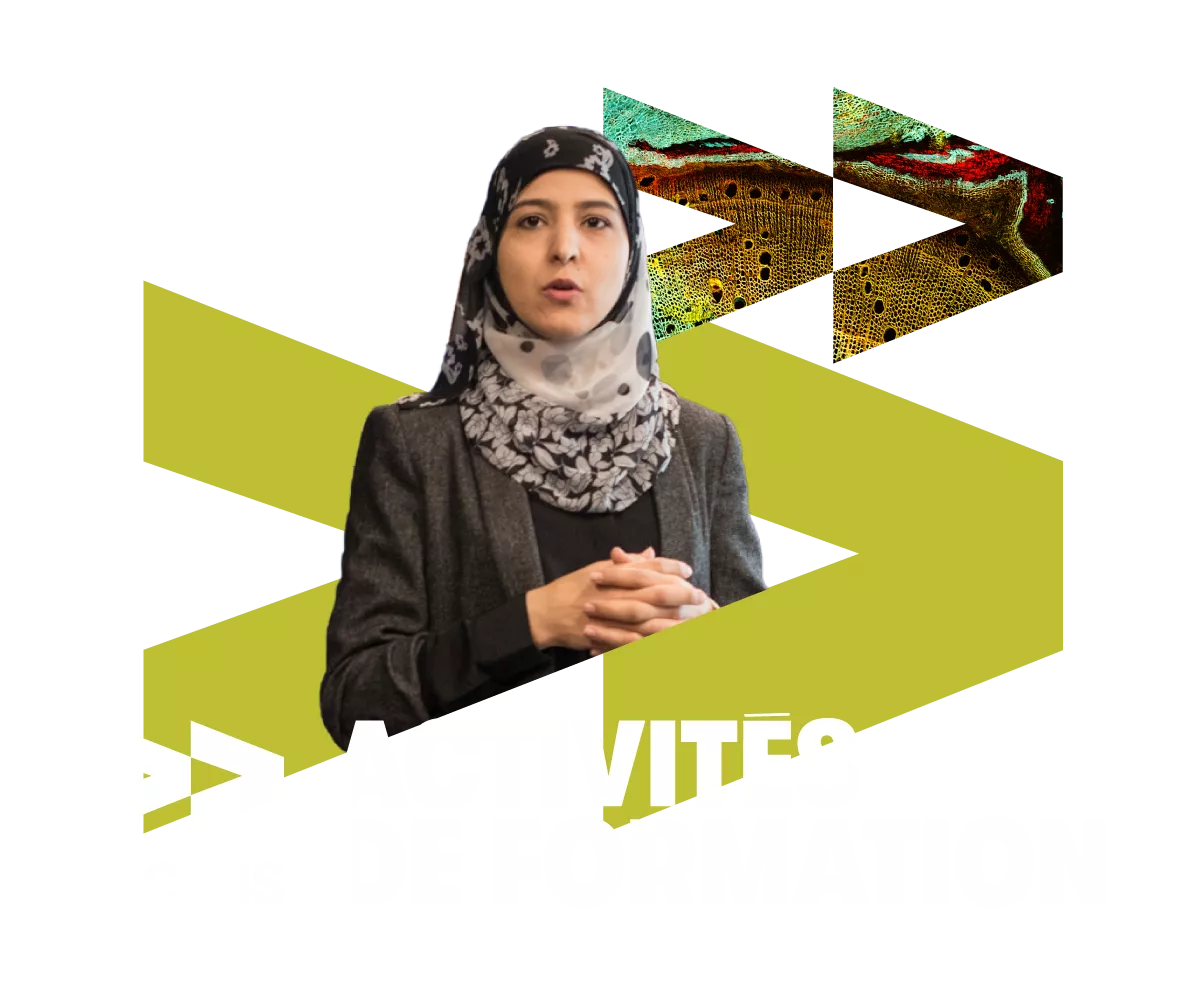 Activités de formations