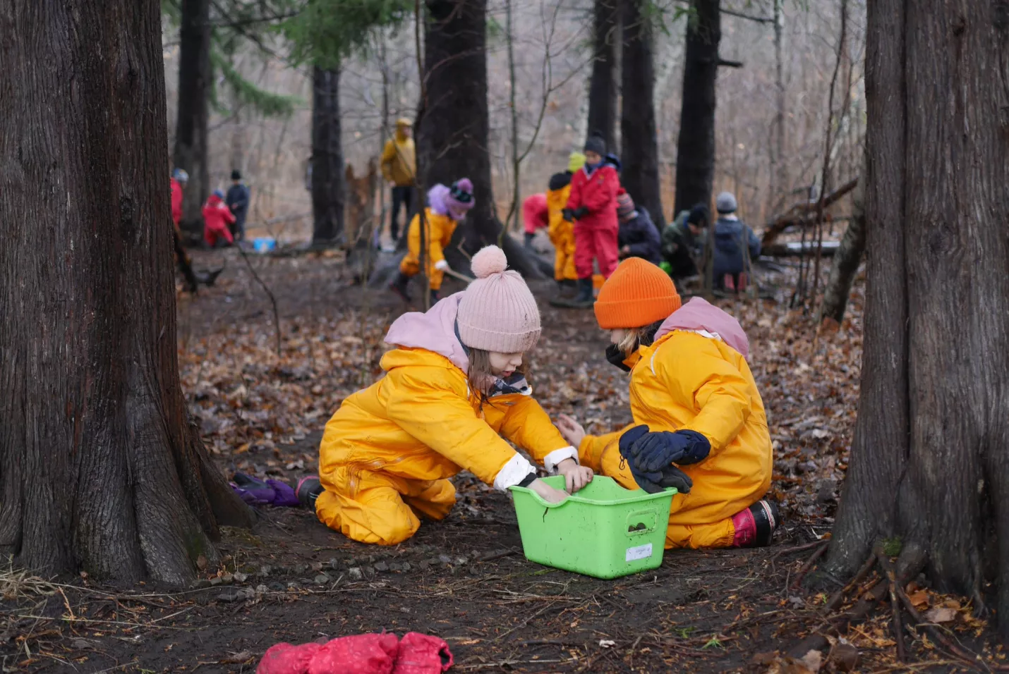 Éducation en plein air