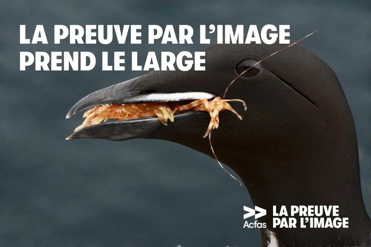 Exposition "La preuve par l'image prend le large"