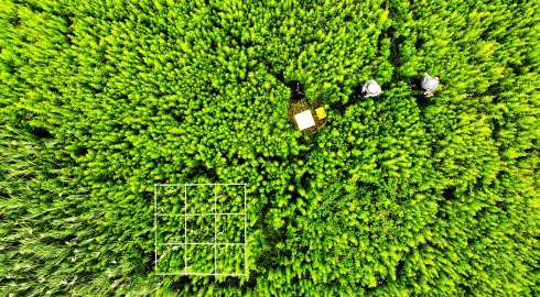 Détecter l'envahisseur par drone