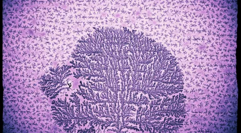 Floraison nanométrique