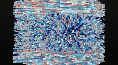 Des fibres élémentaires