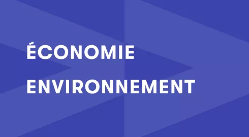 Économie et environnement