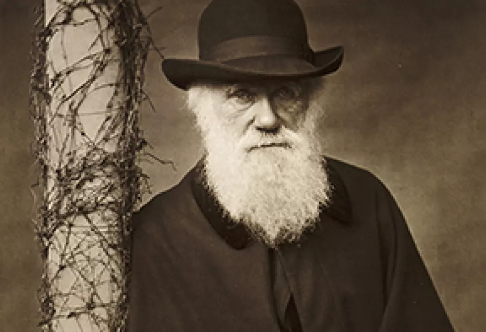 Darwin