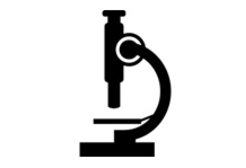 Navarre