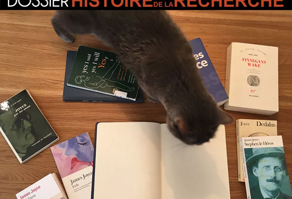 Joyce, le chat