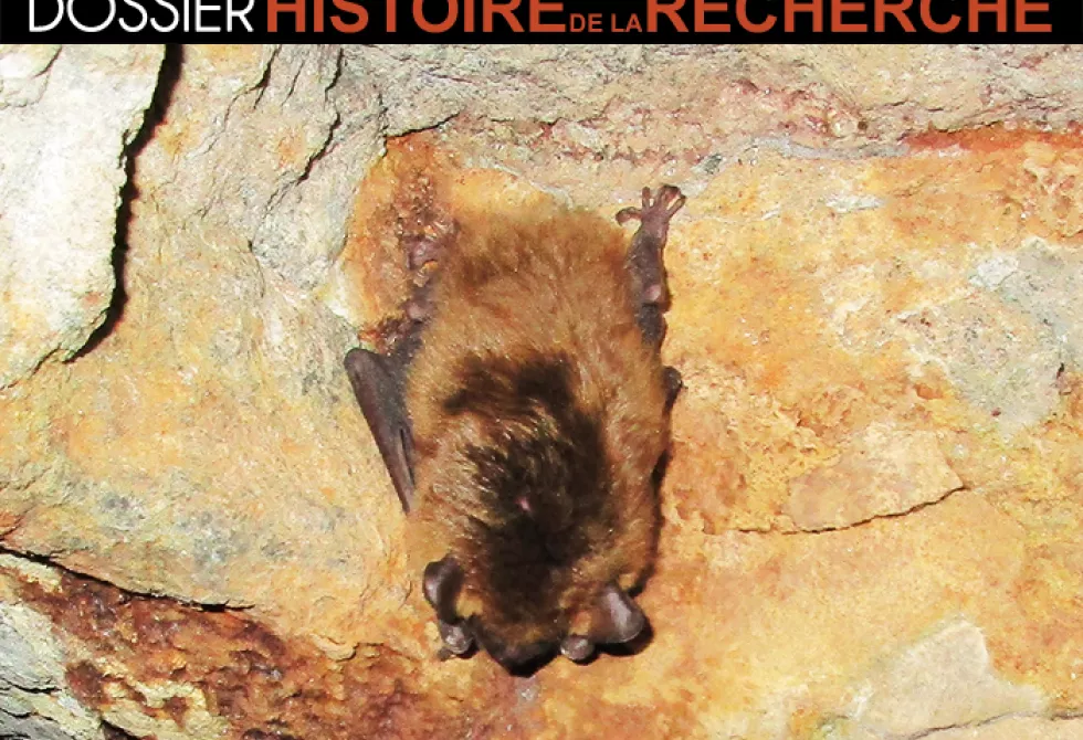 Récit de recherche - Lemieux-Labonté