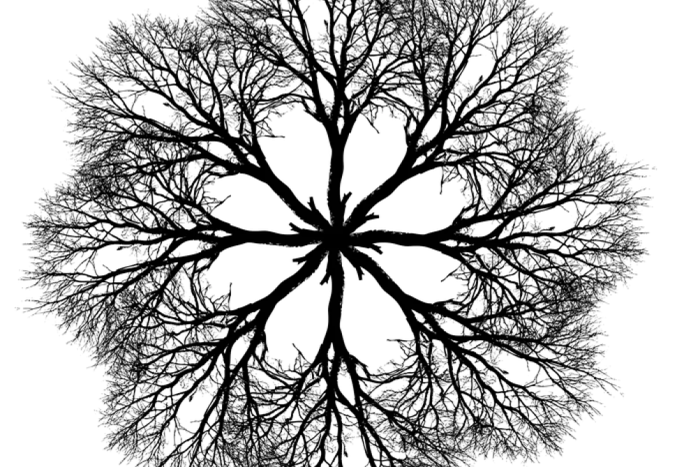 Arbre, Pixabay