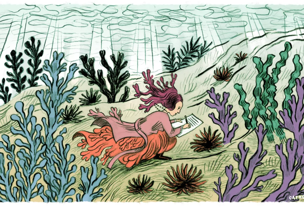 Marcelle par Cathon