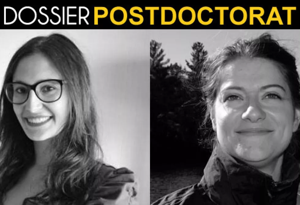 Postdoctorat - Gruosso - Urli