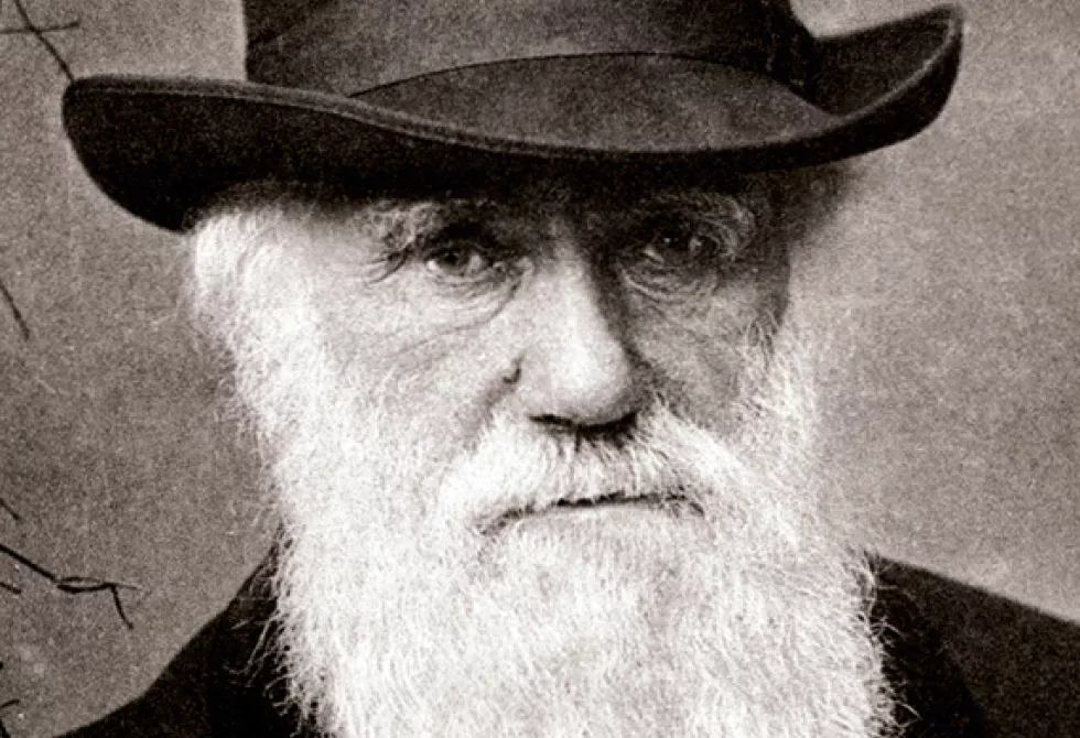darwin