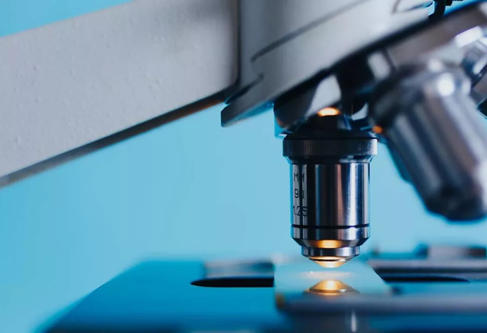 Conseil scientifique