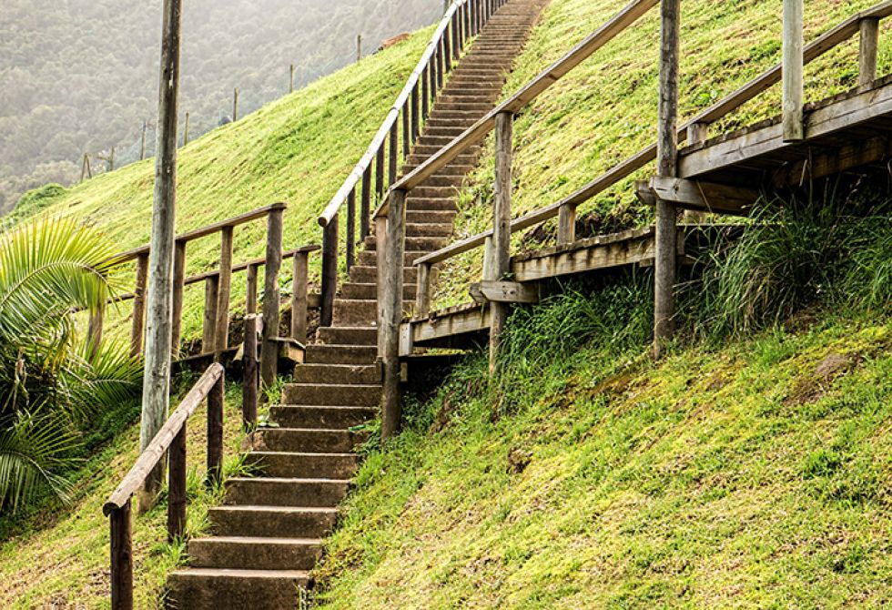 Escalier de bois dans une montagne couverte de verdure