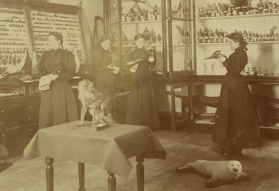 Musée scolaire du Couvent Villa Maria, avant 1900
