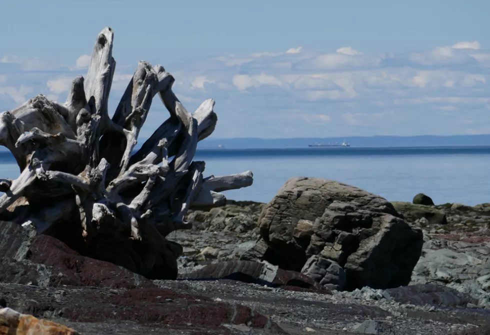 Fleuve Saint-Laurent