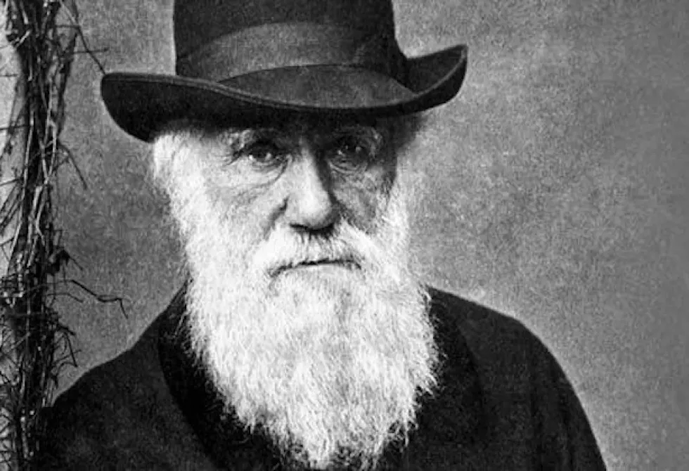 Portrait de Charles Darwin