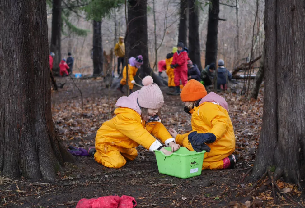 Éducation en plein air
