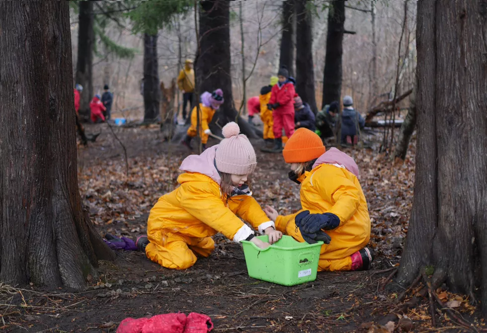 Éducation en plein air