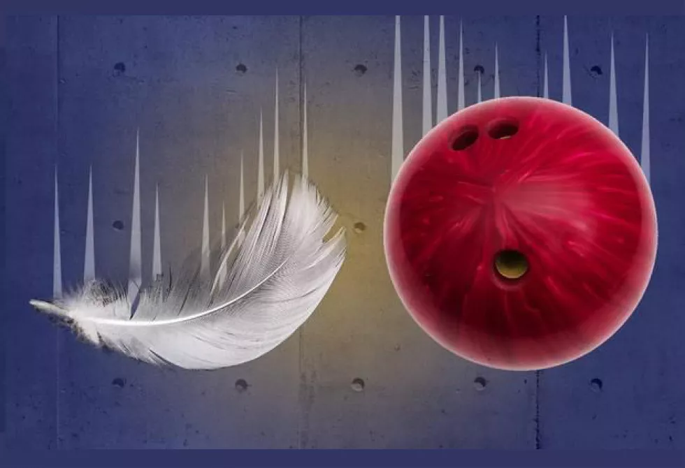 Plumes et boule de quille, source : hassidout.org