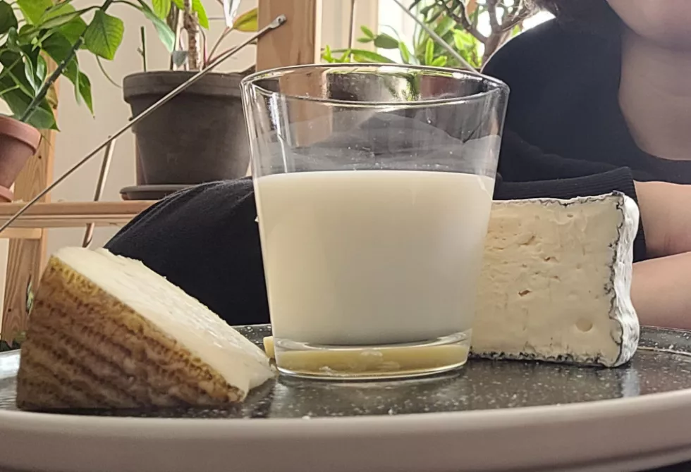 Lait et fromages