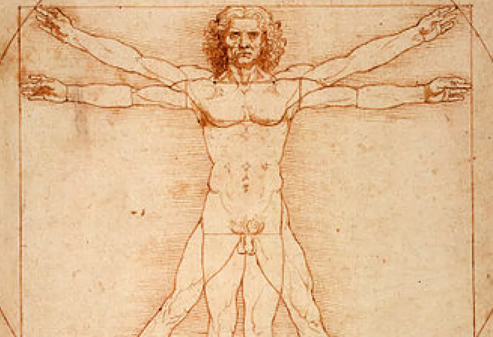 Vinci