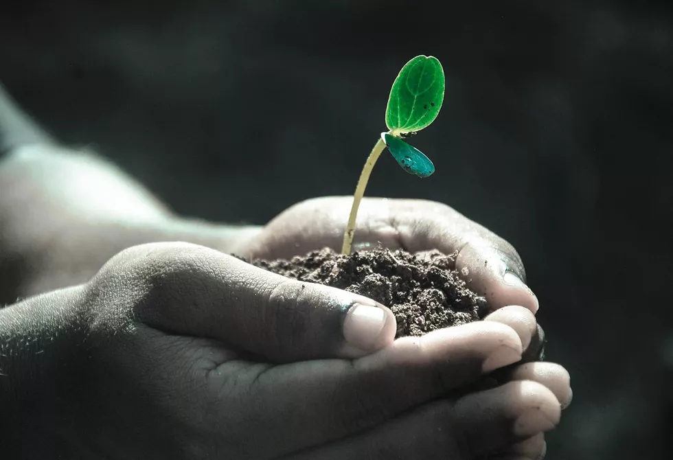 Une passion née de la compassion