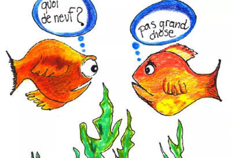 Découvrir - Septembre 2013