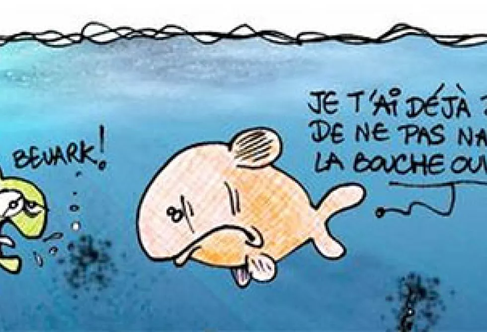 Découvrir - Mai 2015