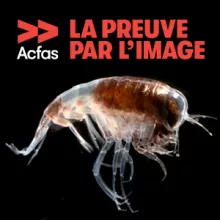 La preuve par l&#039;image