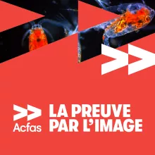 La preuve par l'image - Acfas