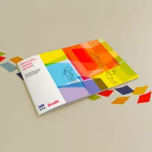 Rapport Érudit