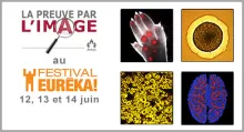 Nouvelle du 29-05-2015 Nouvelle du 29-05-2015