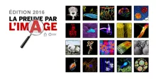 Nouvelle du 09-05-2016 Nouvelle du 09-05-2016
